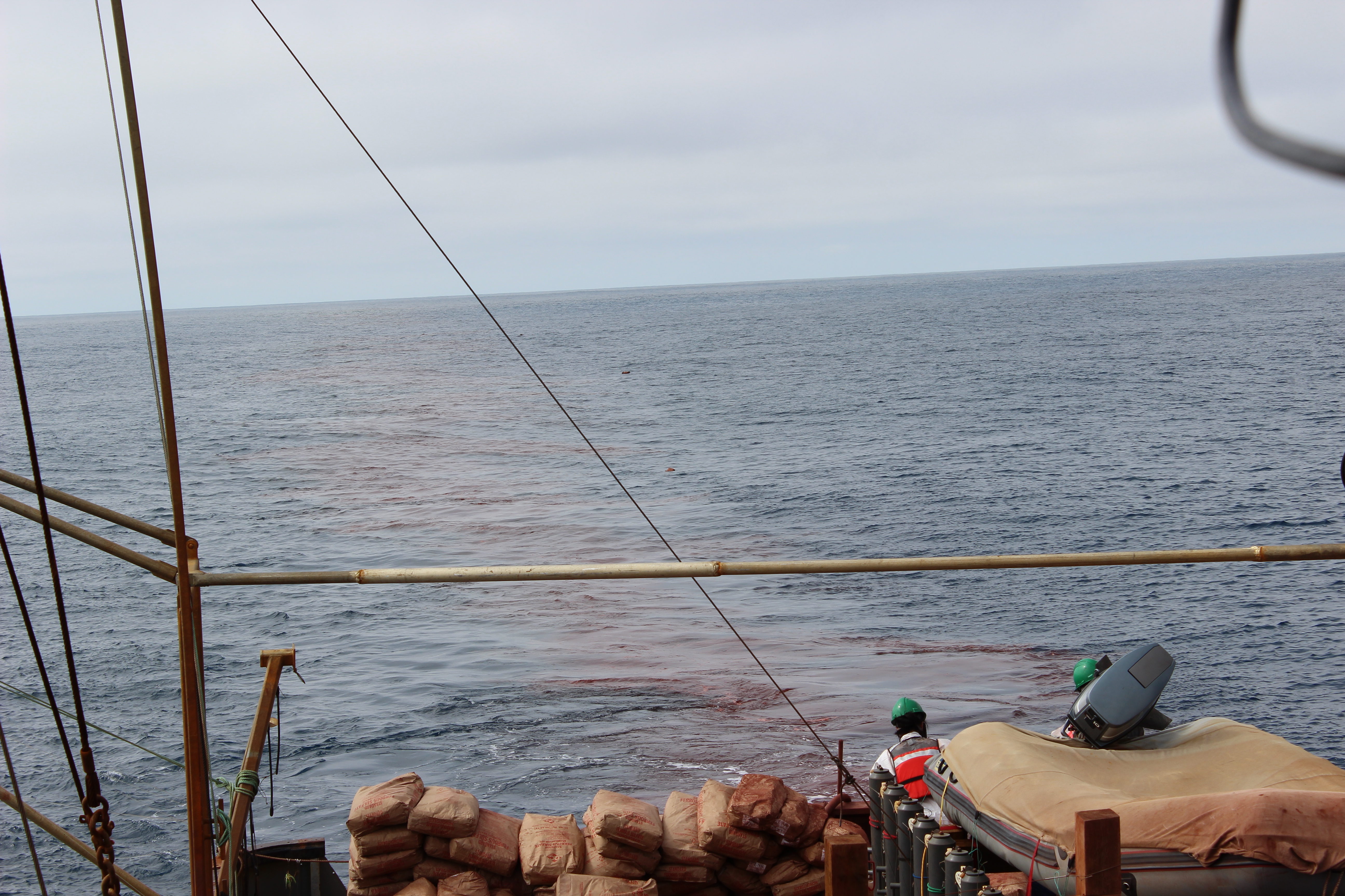 haida salmon geoengineering ocean iron fertilization dump august 2012 geoengineering programs