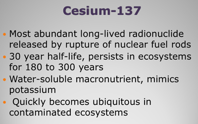 The Implications of The Massive Contamination of Japan With Radioactive Cesium - Steven Starr