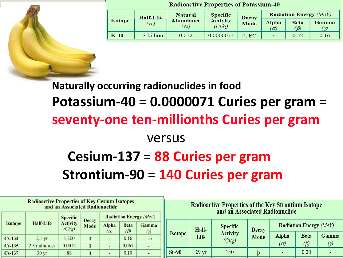 The Implications of The Massive Contamination of Japan With Radioactive Cesium - Steven Starr
