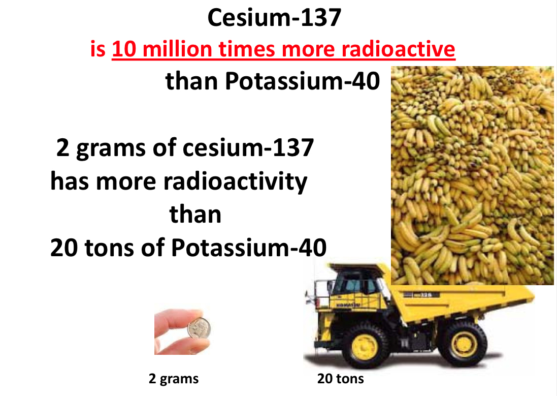 The Implications of The Massive Contamination of Japan With Radioactive Cesium - Steven Starr