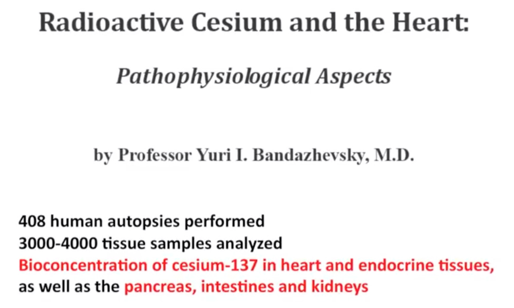 The Implications of The Massive Contamination of Japan With Radioactive Cesium - Steven Starr