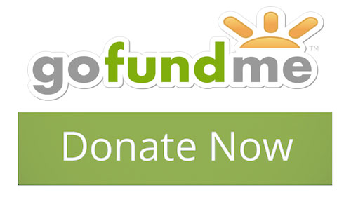 Donate on GoFundMe
